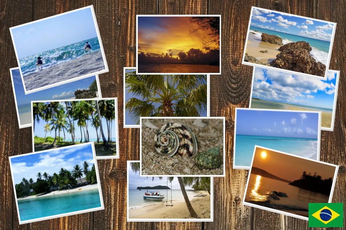 Programa de edição de fotos para PC