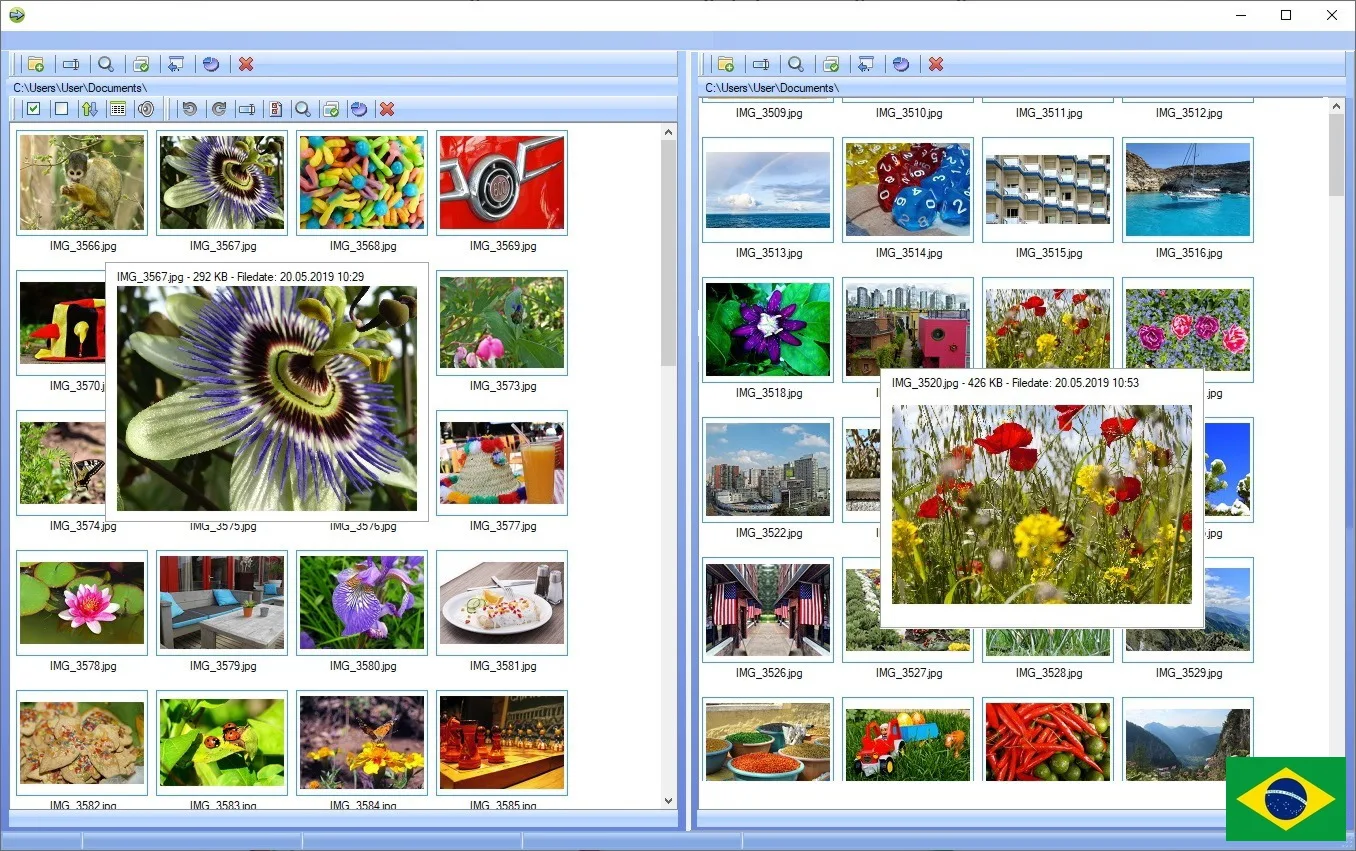 Programa de gerenciamento de fotos