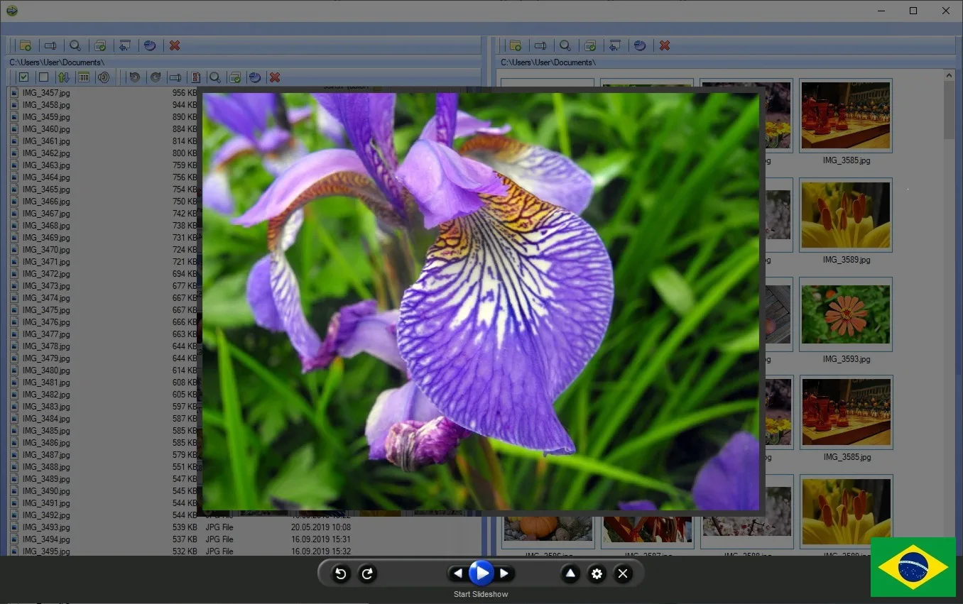 Programa para gerenciar fotos