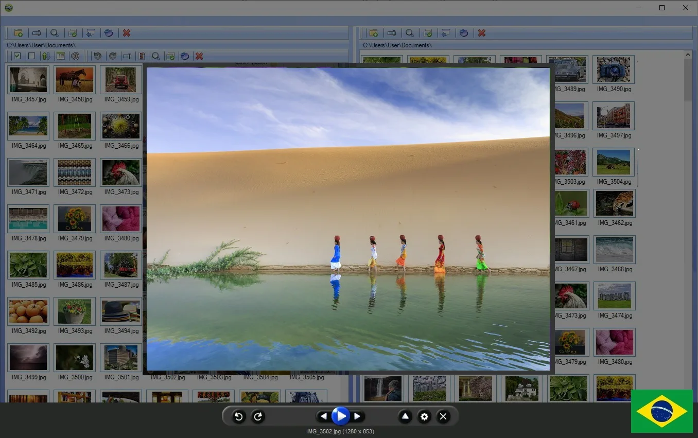 Software de organização de imagens