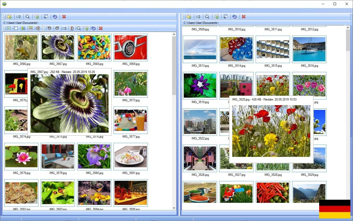 Fotoverwaltungsprogramm