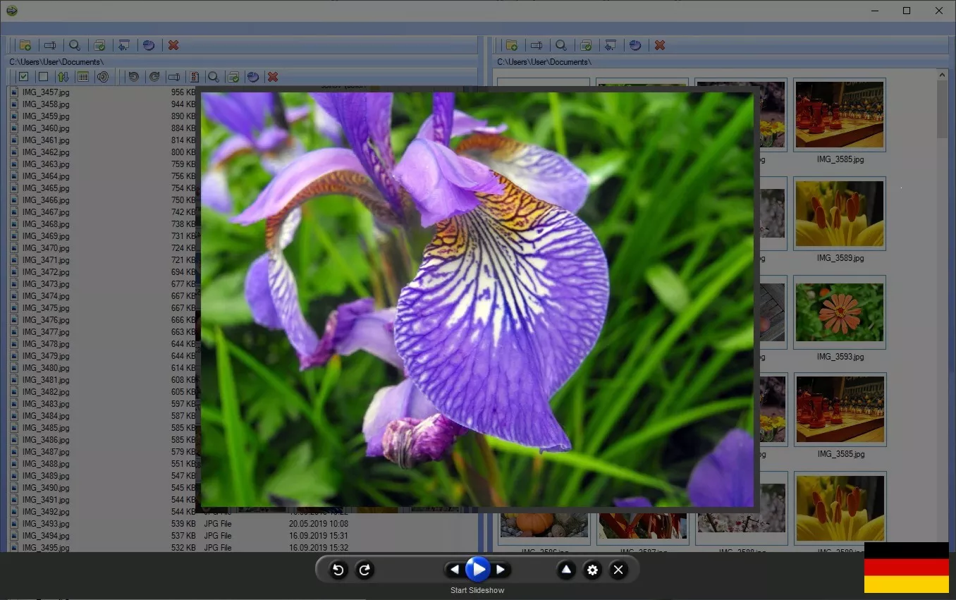 Software zum Verwalten von Fotos