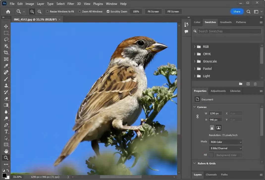 Editor de fotos - Adobe Photoshop CC