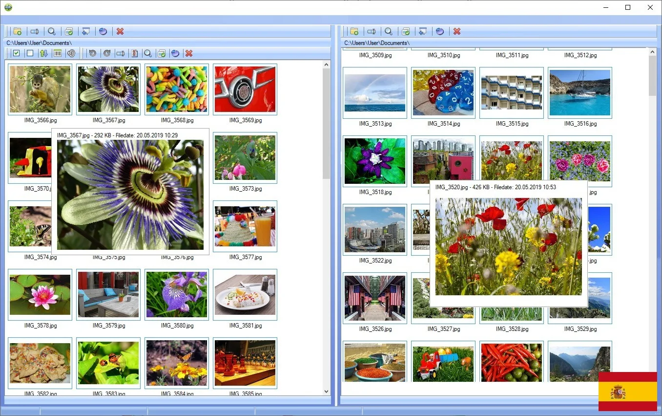 Programa de gestión de fotos
