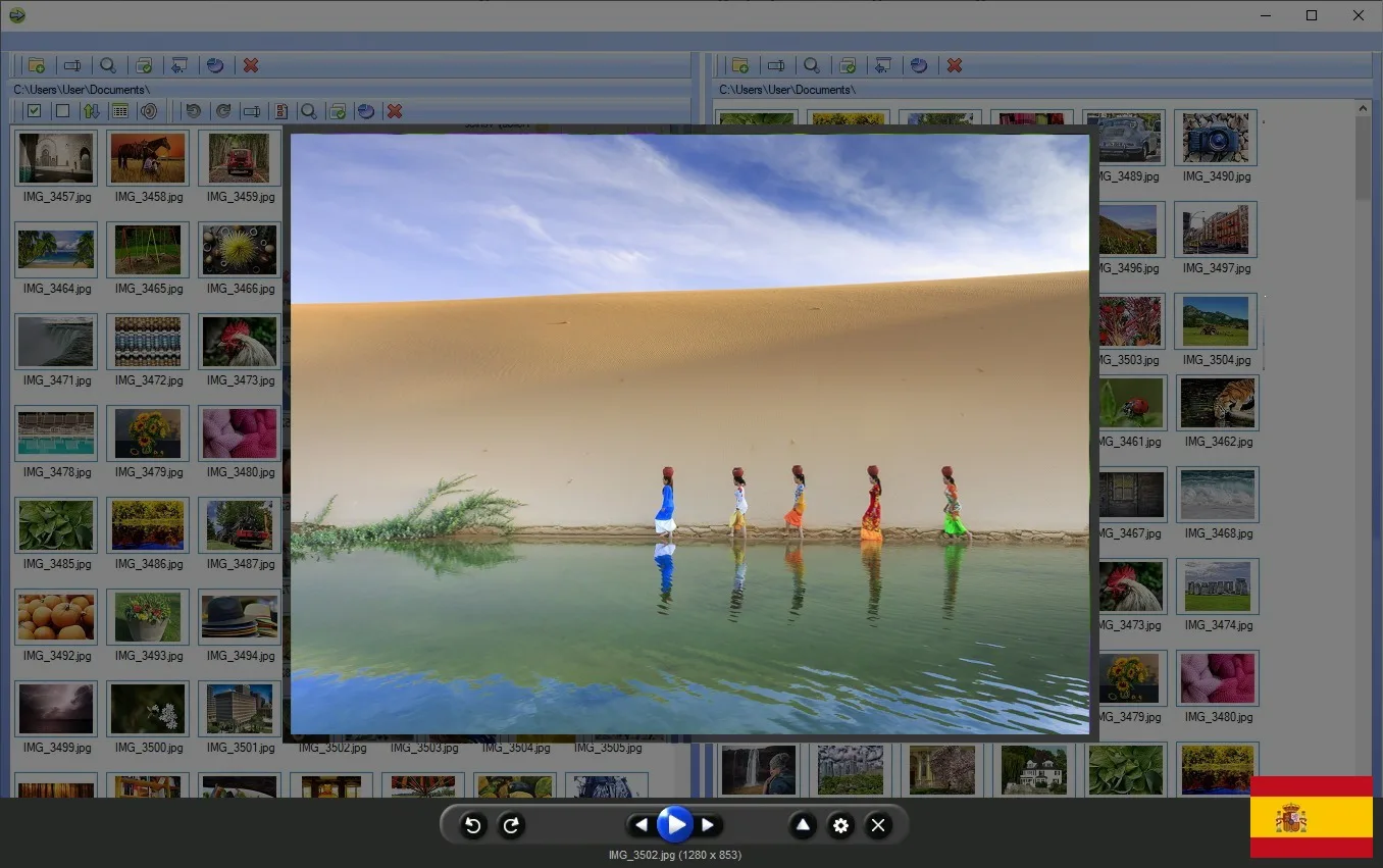 Programa para organizar fotos
