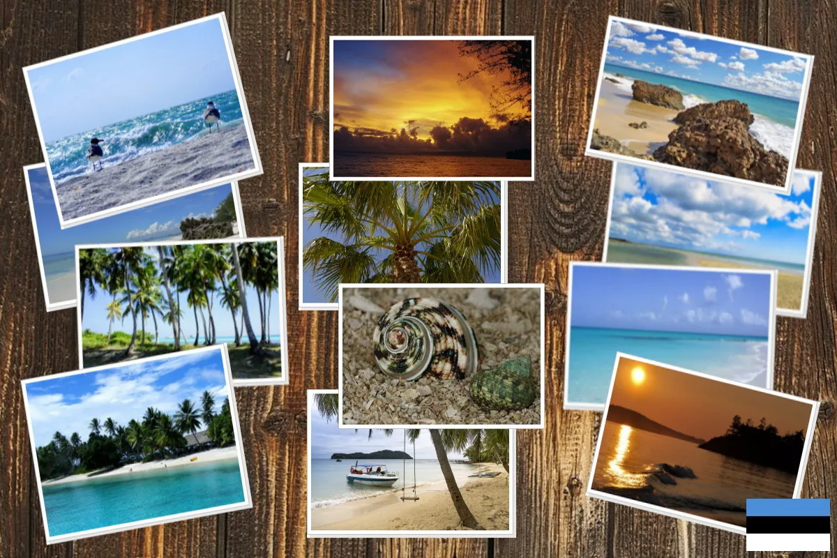 Pilditöötlusprogramm PC jaoks