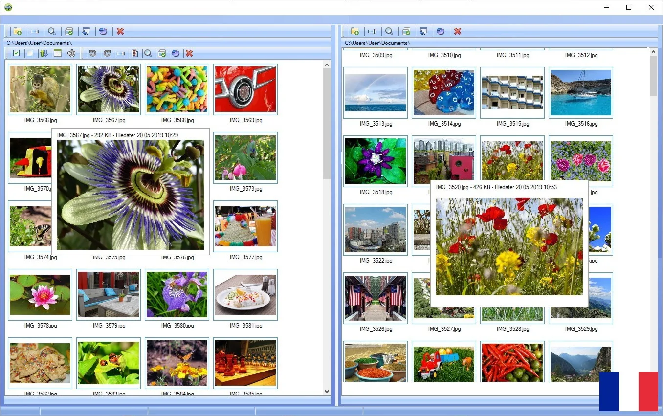 Logiciel de gestion d'images