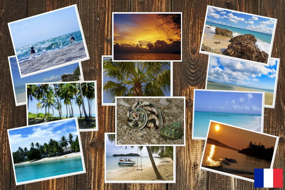 Logiciel de retouche photo pour PC