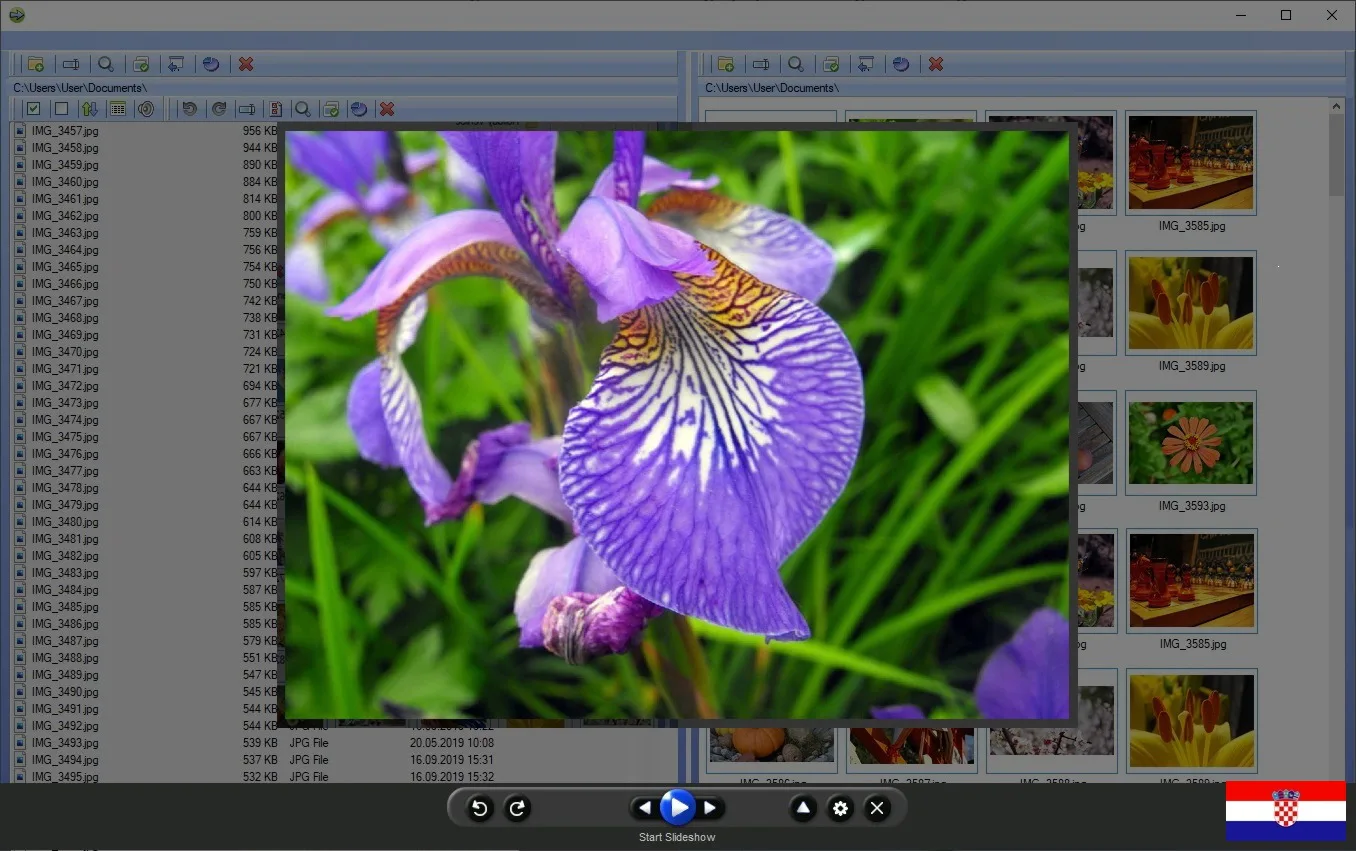 Organizator fotografija