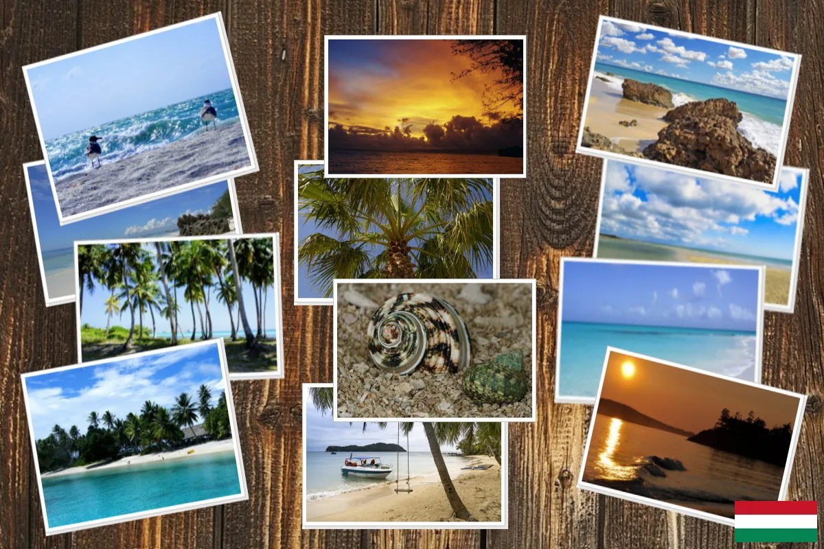 Képszerkesztő program PC-re