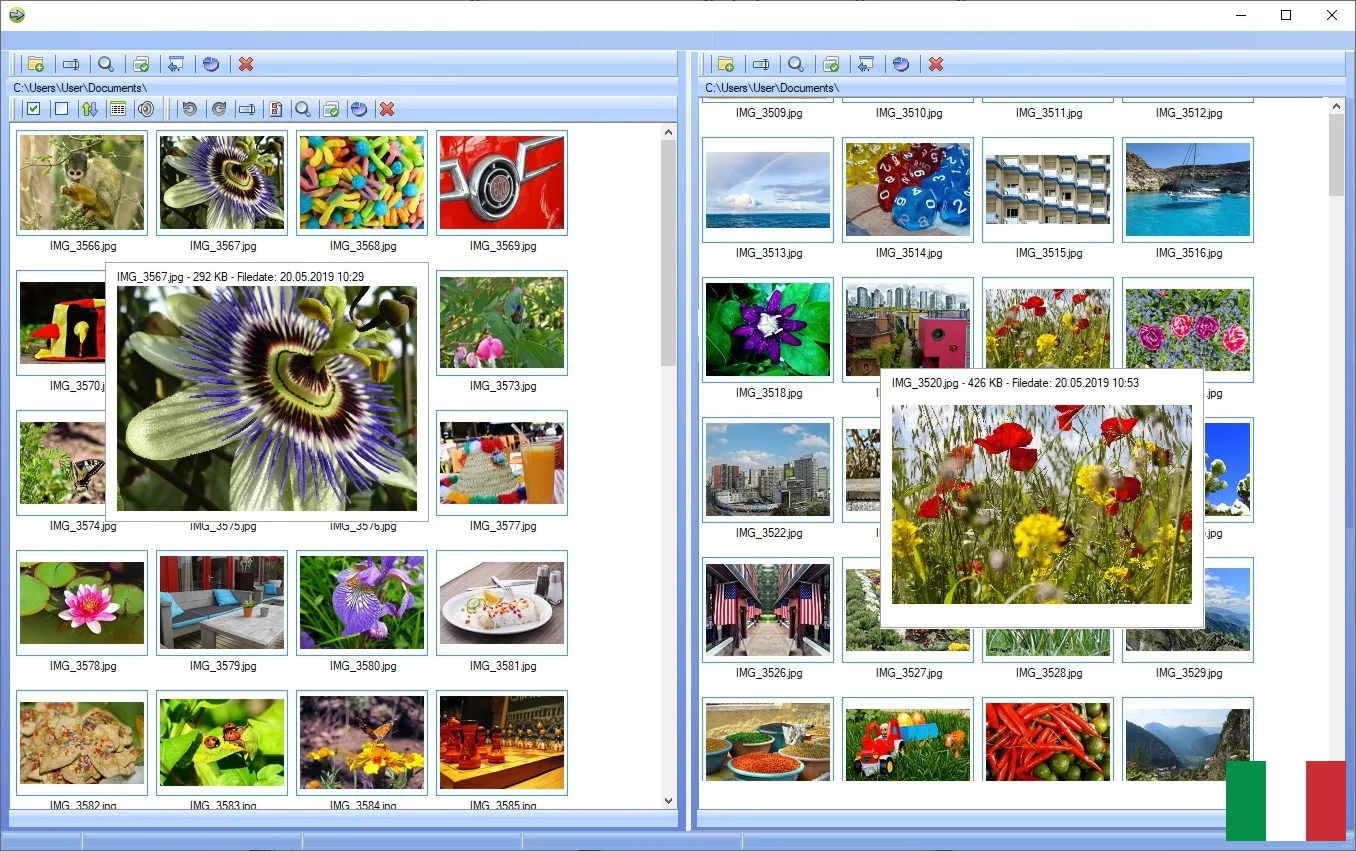 Programma di gestione delle immagini