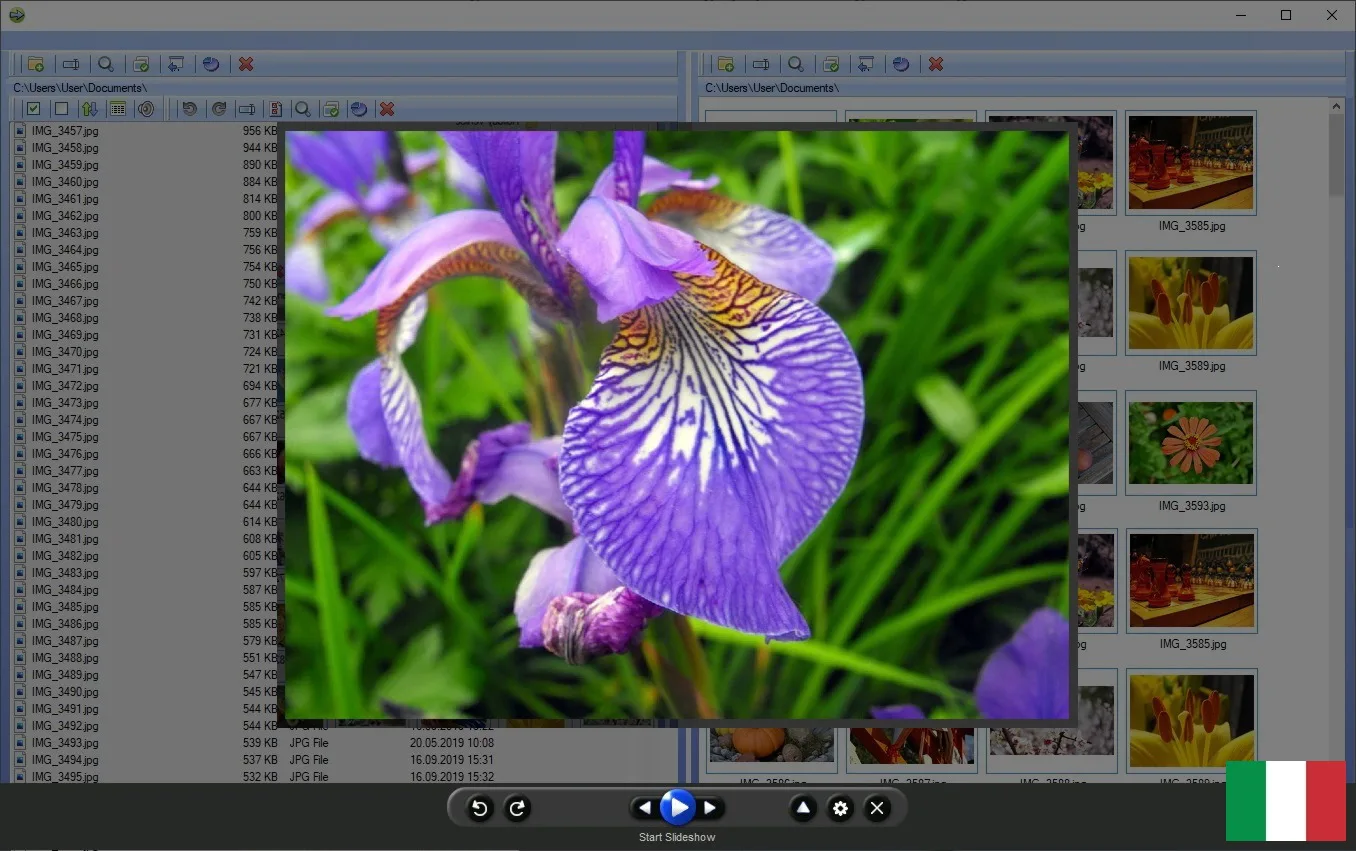 Software di gestione delle foto