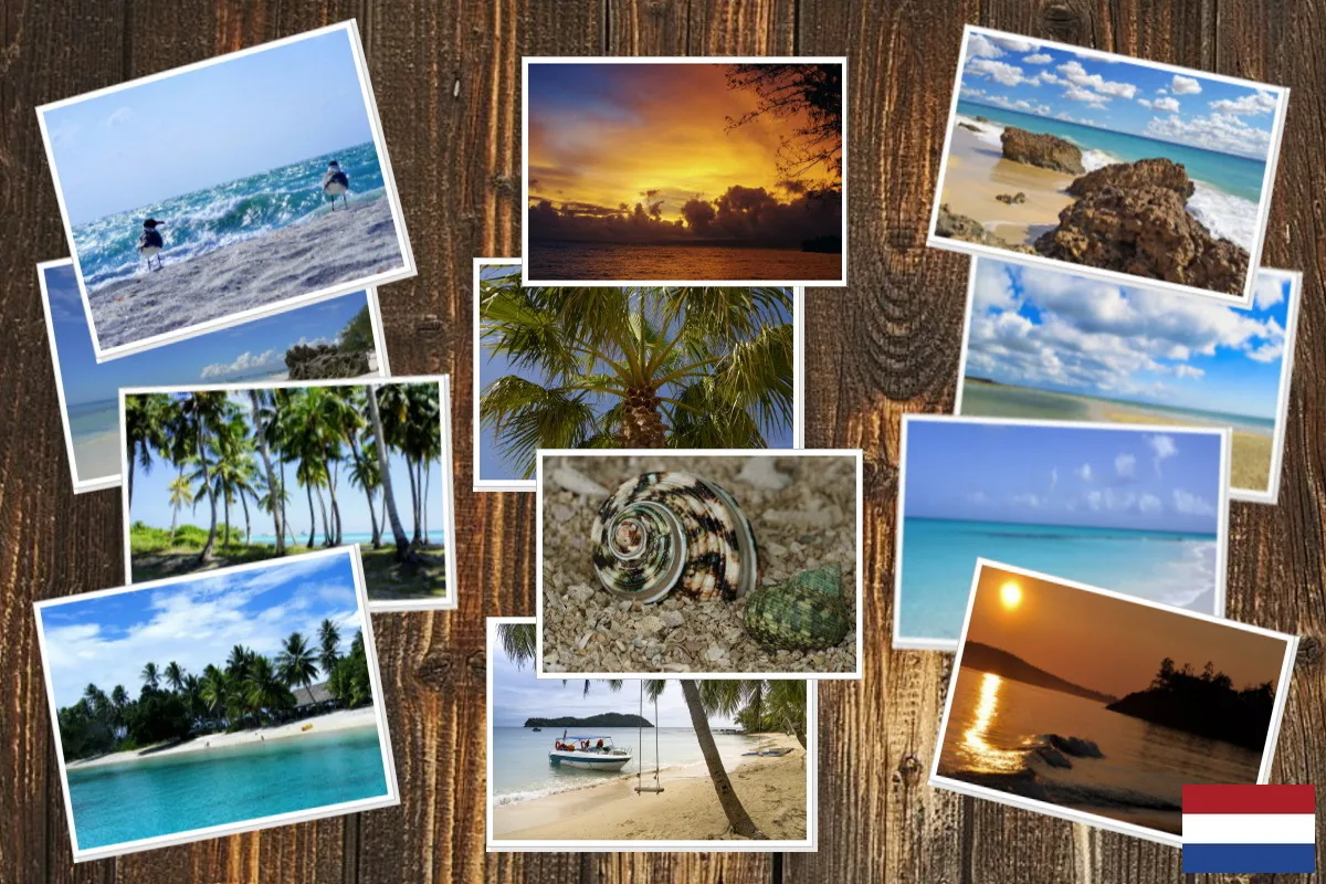 Fotobewerkingsprogramma voor PC