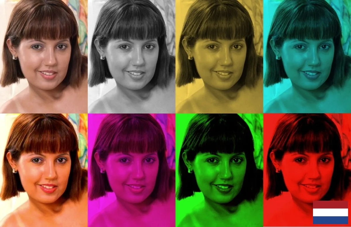 Fotobewerkingsprogramma voor Windows 11