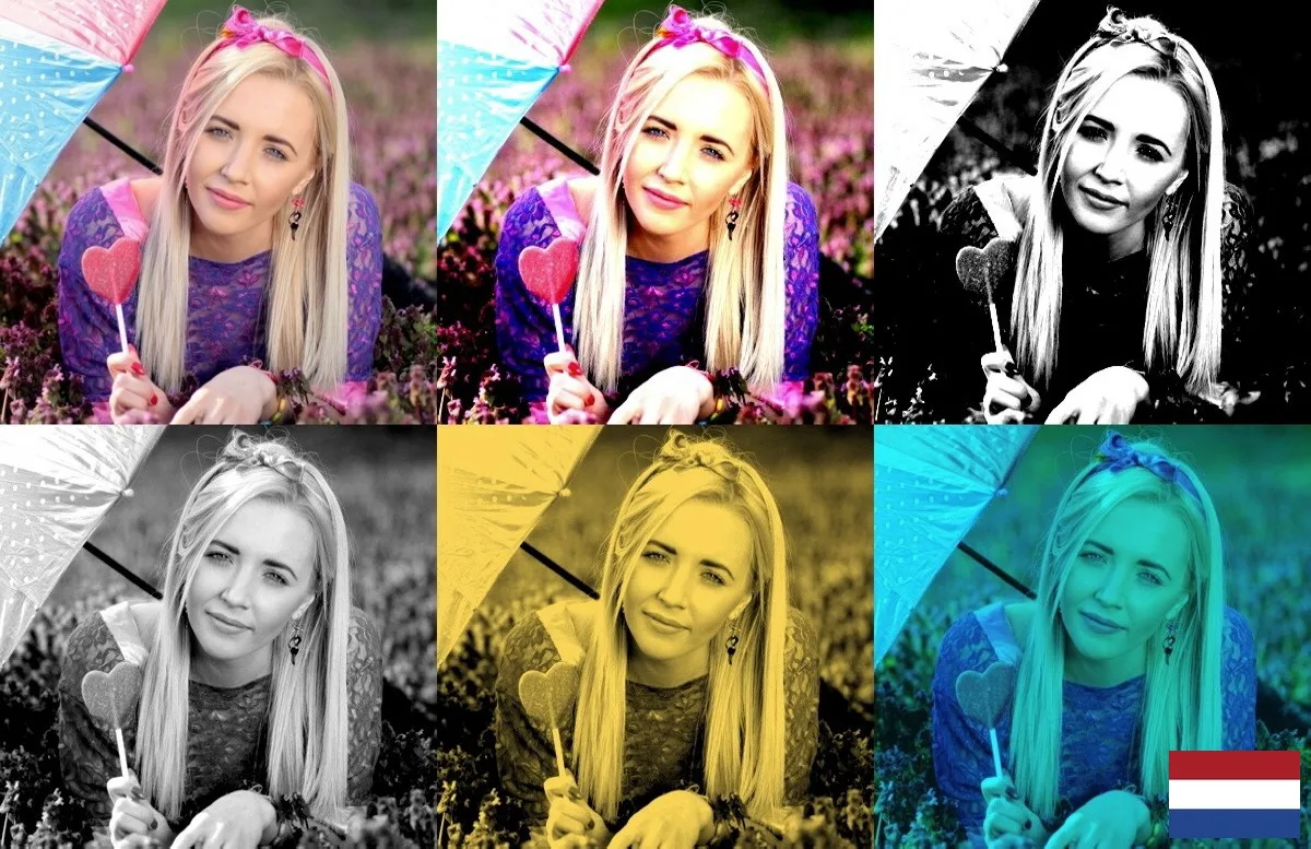 Fotoprogramma voor Windows 11