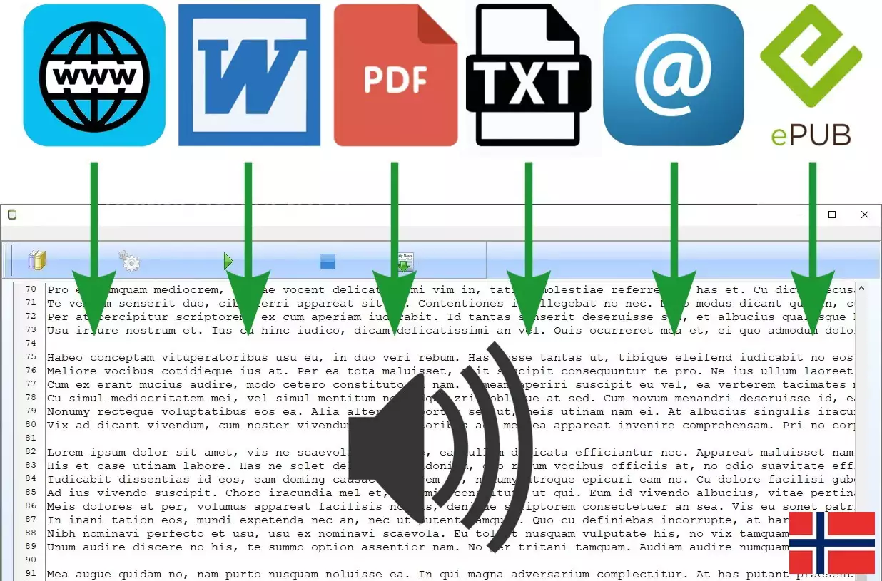 Tekst til tale leser