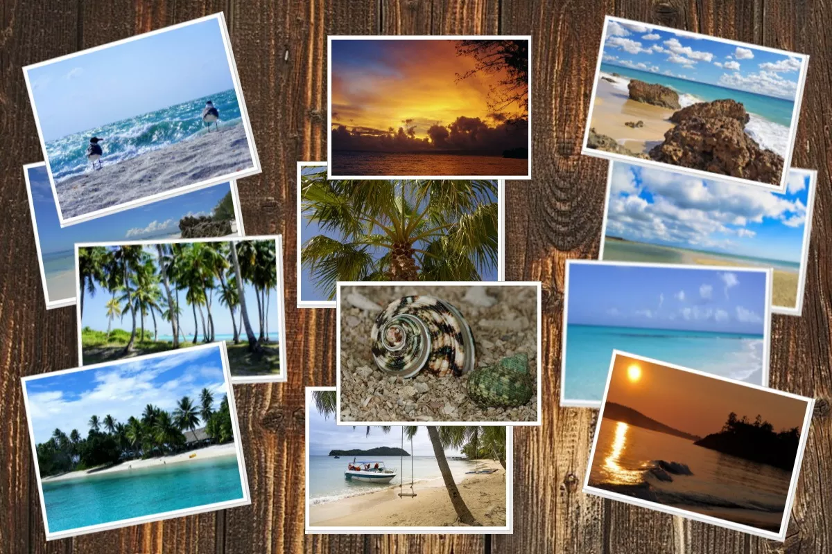 Photo Editing Software for PC