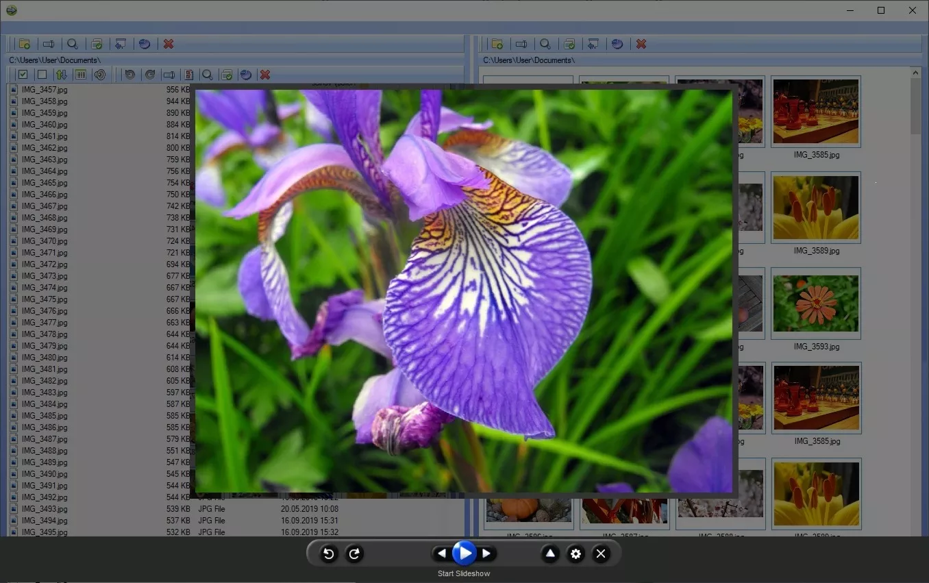 Manage Photos Software