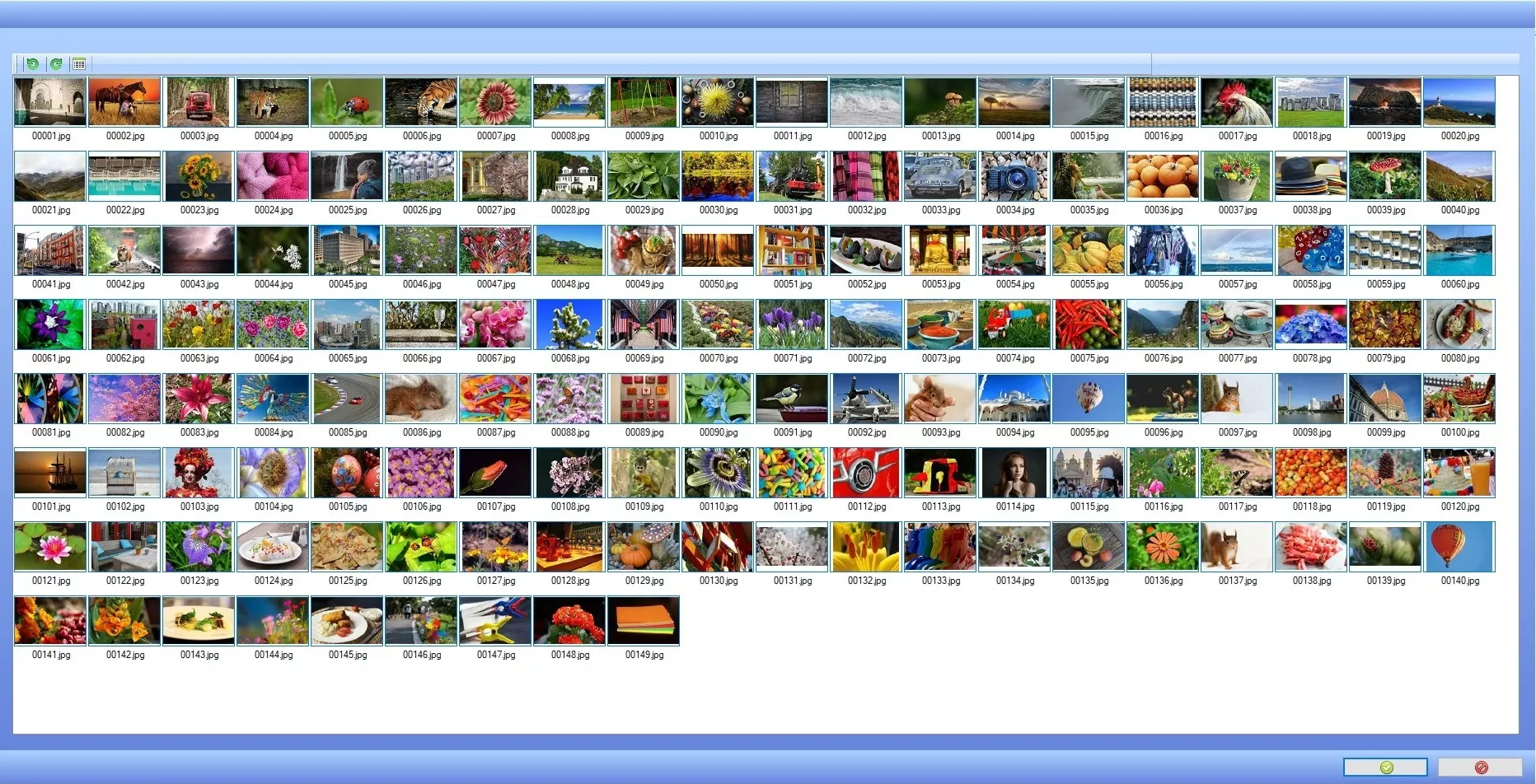 Photo Management Software