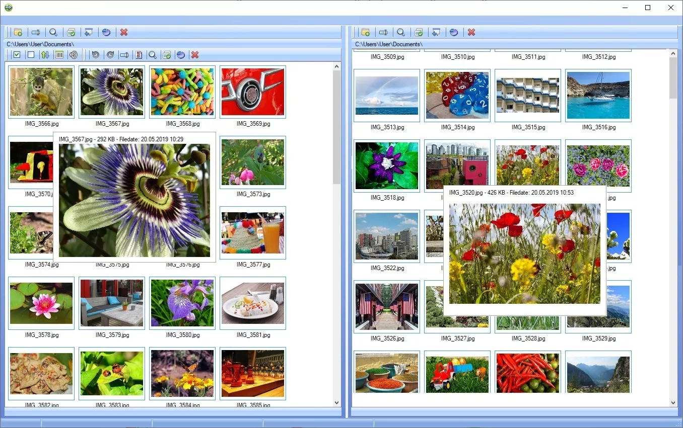 Photo Manager Software