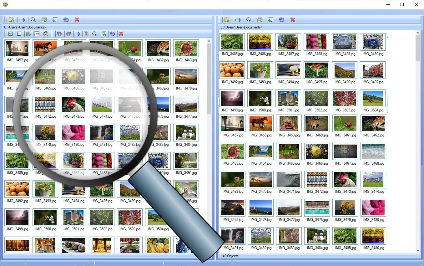Photo Organizer Software