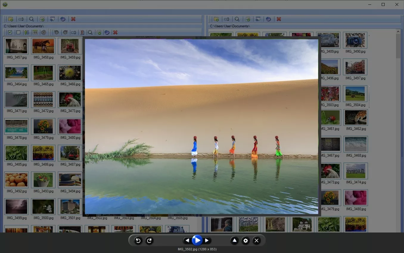 Photo Organizing Software