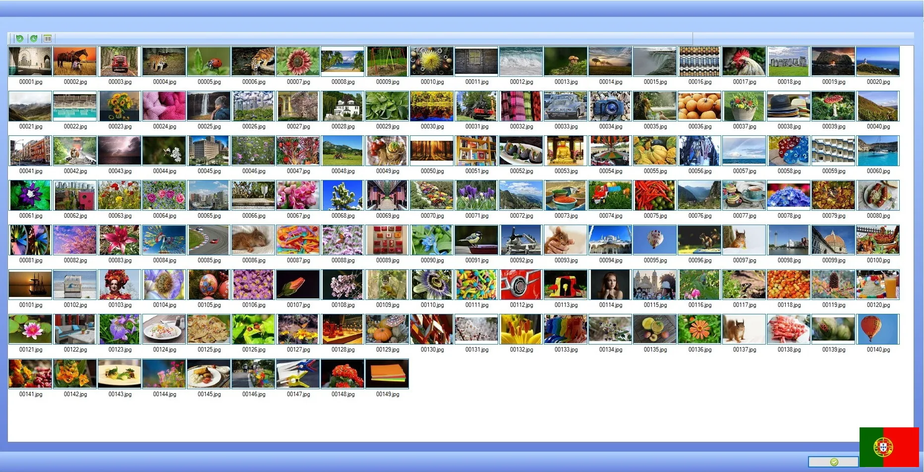 Software de gestão de imagem