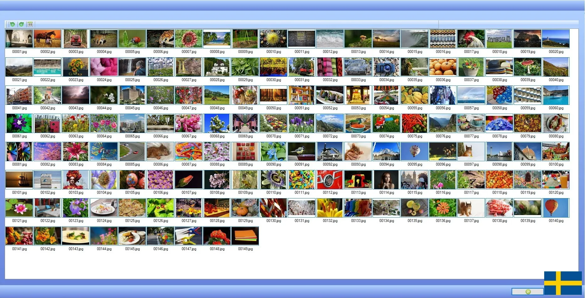 Fotohanteringsprogram