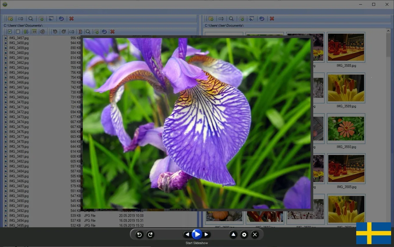Program för bildsortering