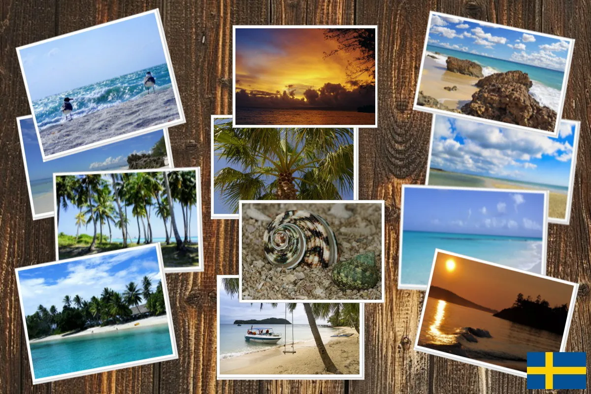 Fotoredigeringsprogram för PC