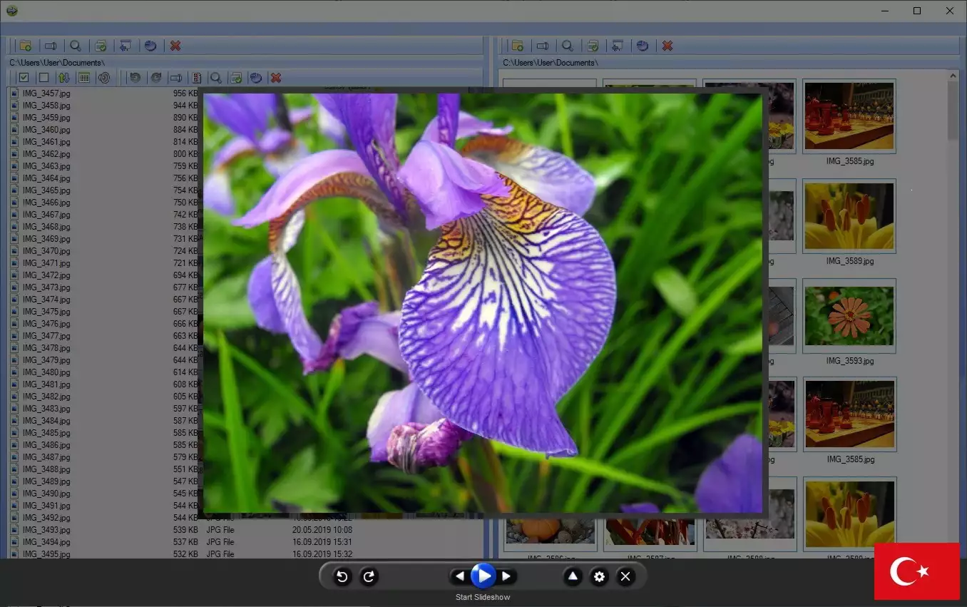 Fotoğraf yöneticisi