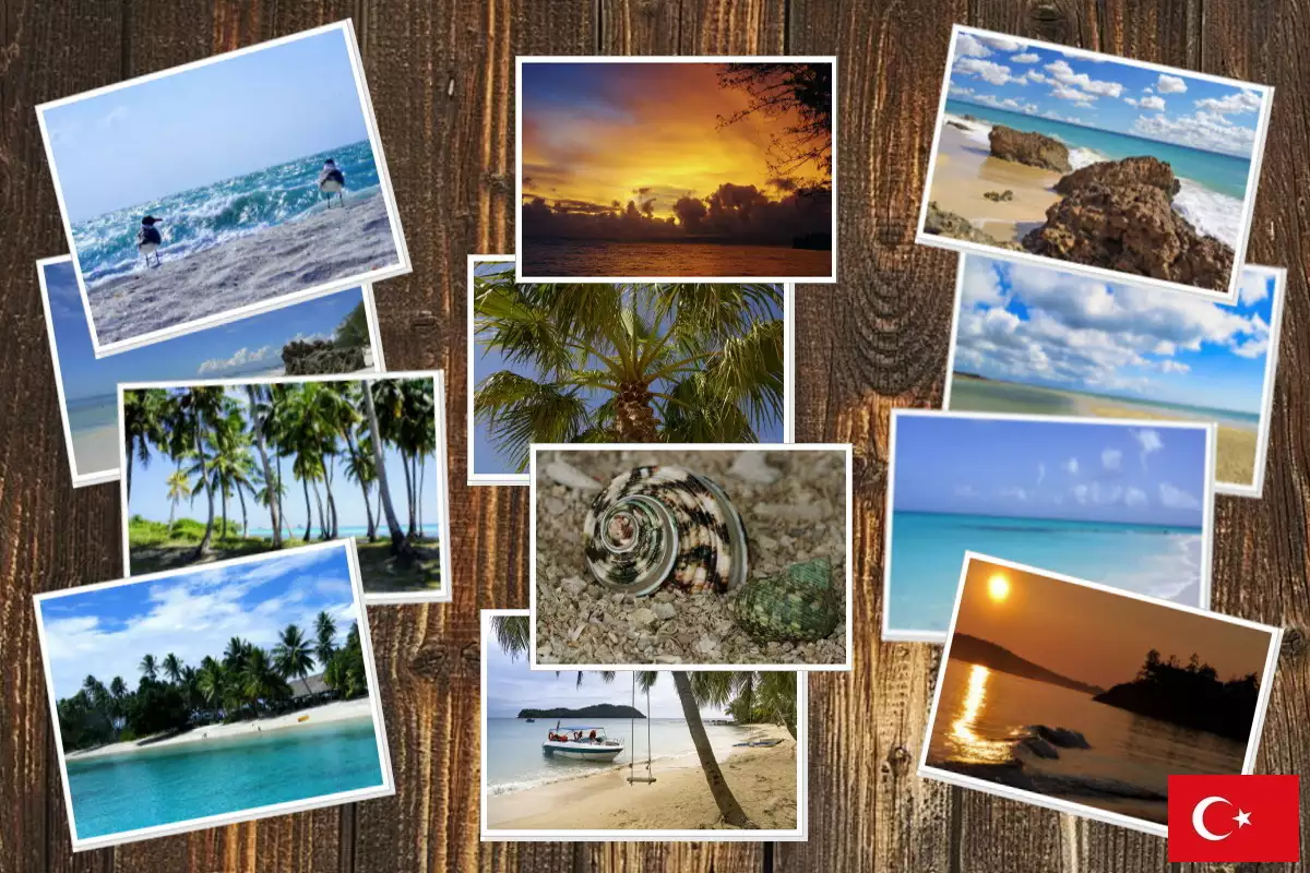 Görüntü düzenleme yazılımı